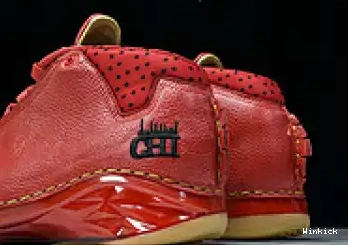 Chicago 23 Jordan 811645-650 0513